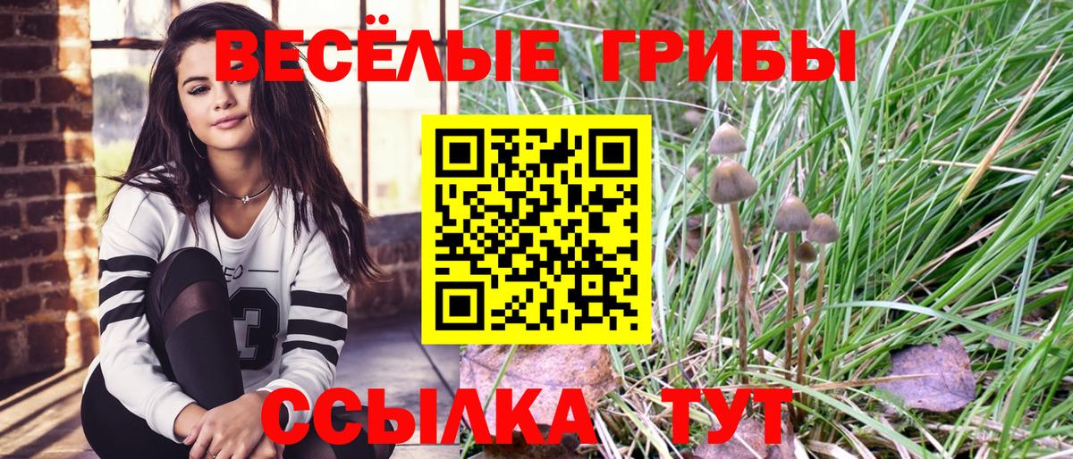 Галлюциногенные грибы MAGIC MUSHROOMS  Вход с VPN  Псилоцибиновые грибы Cubensis  Ачинск 